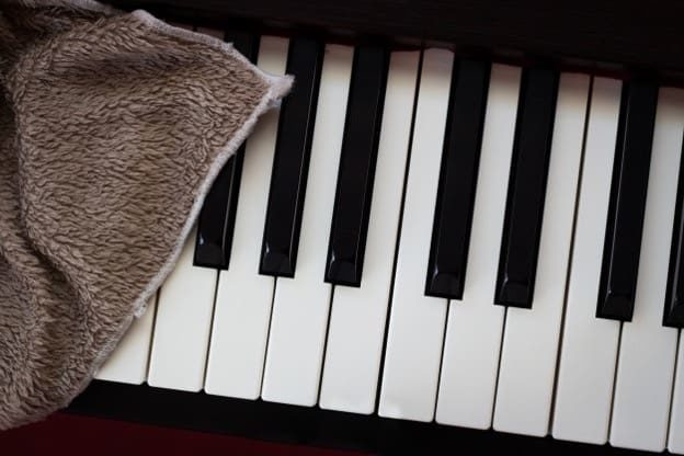 How Do I Make My Piano Keyboard Dust-Free, dust cover